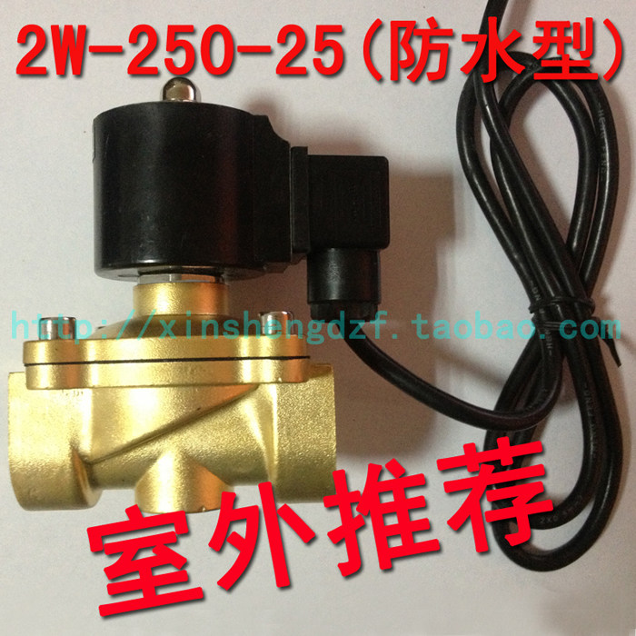 1寸常闭防水电磁阀DN25室外电磁阀 2W-250-25 完全防水型水阀气阀