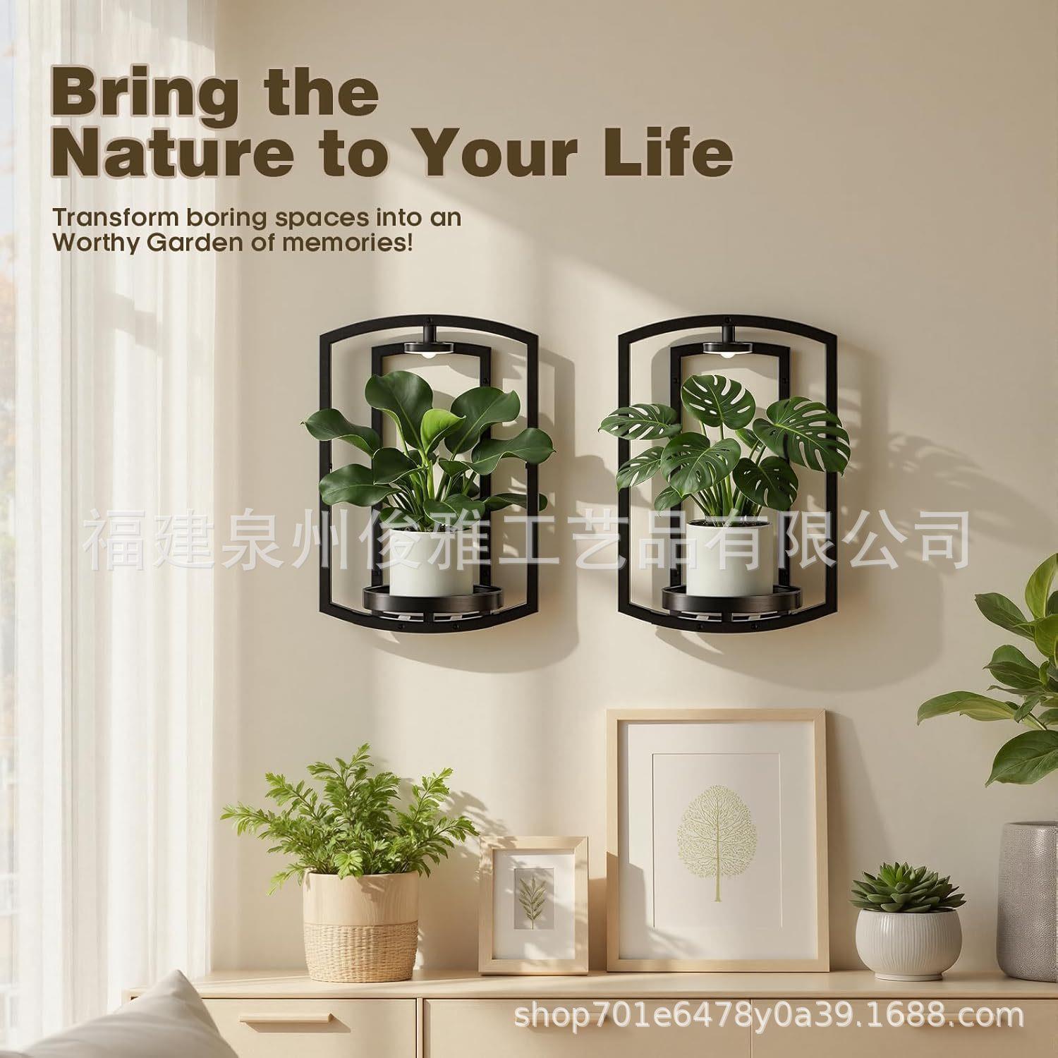 跨境铁艺墙壁植物支架室内外悬挂花盆架现金属壁挂式植物架装饰图片