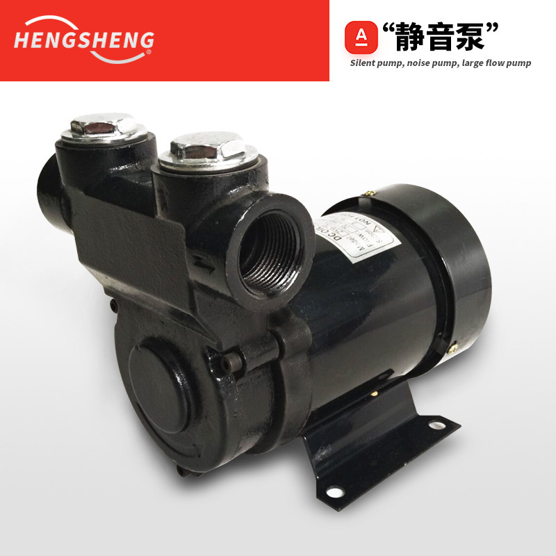 12v24v静音加油泵交直流220V柴油全自动电动抽油泵全铜芯550W电机
