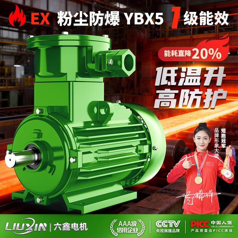一级能效YBX5粉尘防爆电机CT4气体复合型三相异步电动机380V铜线