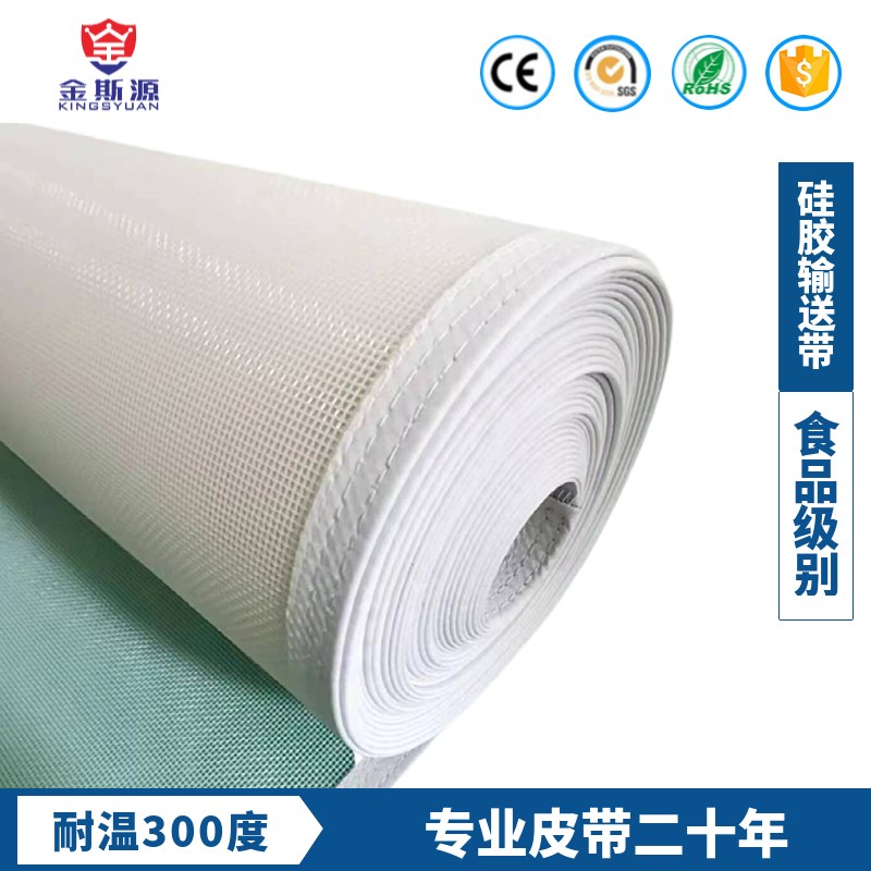 食品烘干大米果蔬葡萄干输送网海鲜处理传动带纸浆挂浆丝印虾皮米