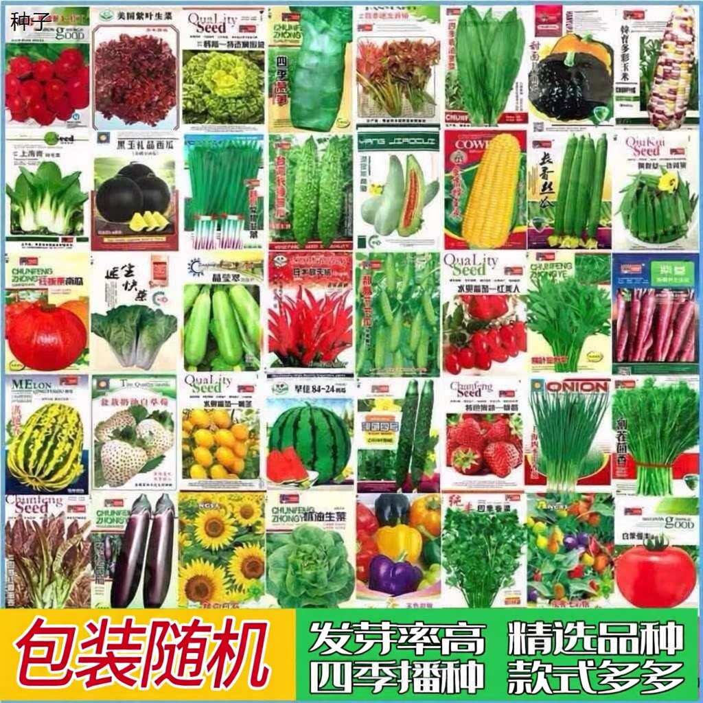 菜种蔬菜籽种瓜果种子籽孑香菜小葱种植套餐88vip2元好物包邮0.01