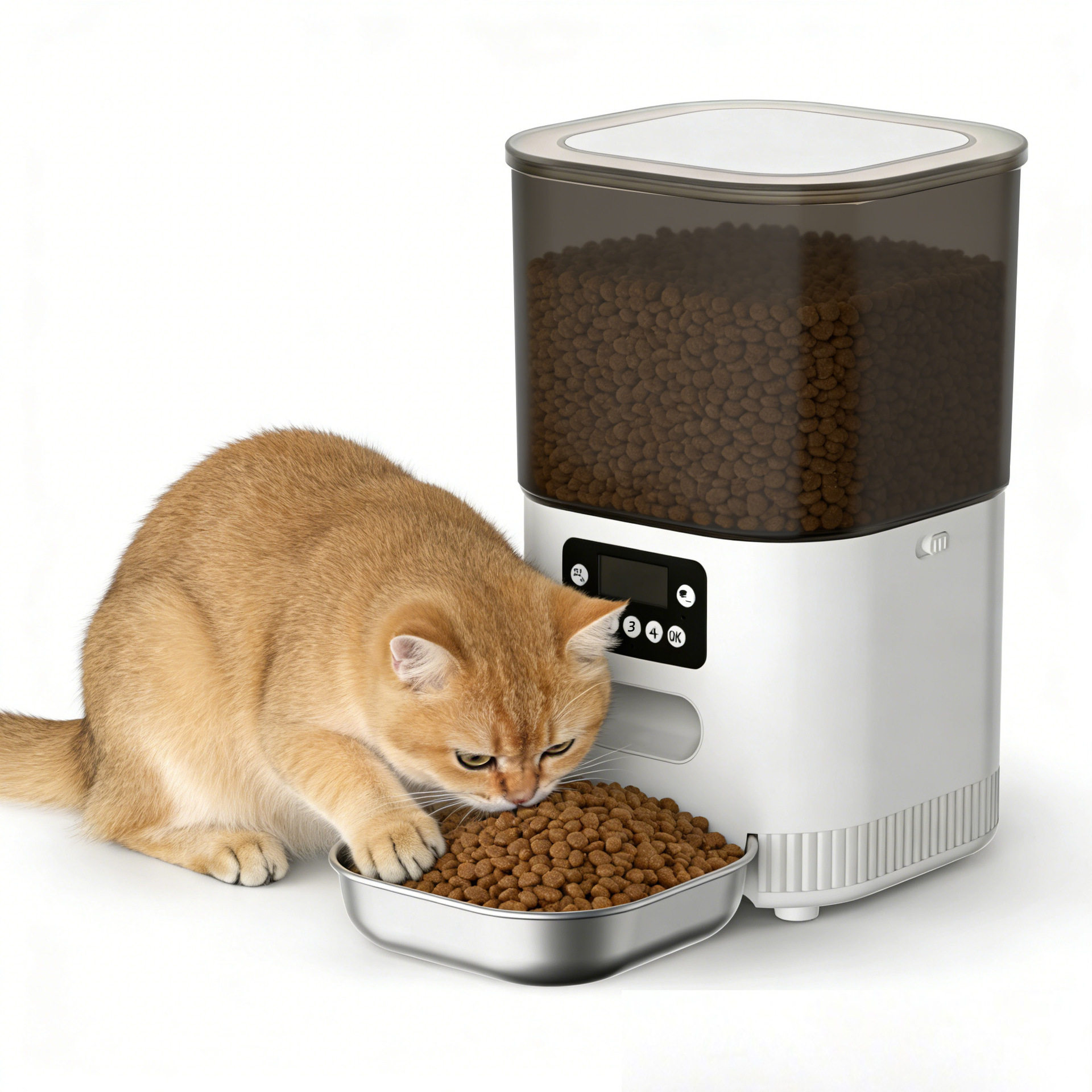 猫猫多碗自动喂食器智能