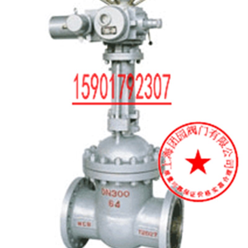 上海团园阀门Z941H-16C多回转法兰电动闸阀DN200 DZW-10 电压380V