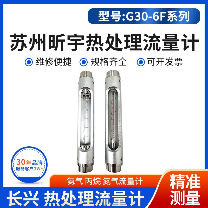 苏州昕宇热处理炉流量计G30-6F不锈钢氨气 丙烷气体防腐流量计