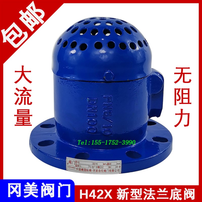 新型底阀H42X-10/16水泵吸水进水铸铁法兰底阀65801001250200300