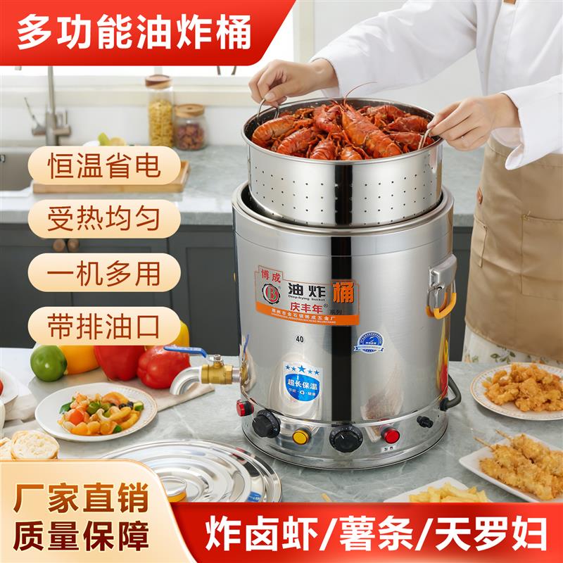 电油锅家用不锈钢油炸桶一锅双温控炸锅恒温油炸锅电炸炉炸串控温