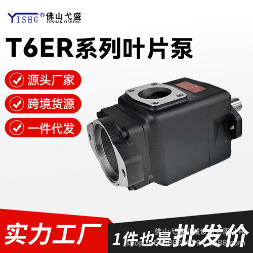 带尾驱动叶片泵T6ER-042 45 50 57 62 66 72  85-3R00-C42-A1串泵