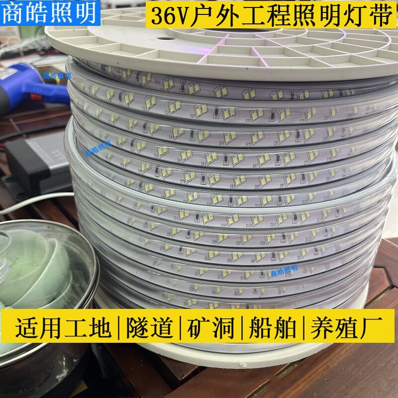 36V工程照明灯带隧道矿洞船舶灯带地下室照明塔吊用灯条高亮度