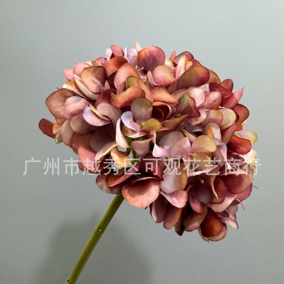 中式秋色洋绣球单枝干花渐变绣球古典花色单头短枝绣球花婚庆装饰