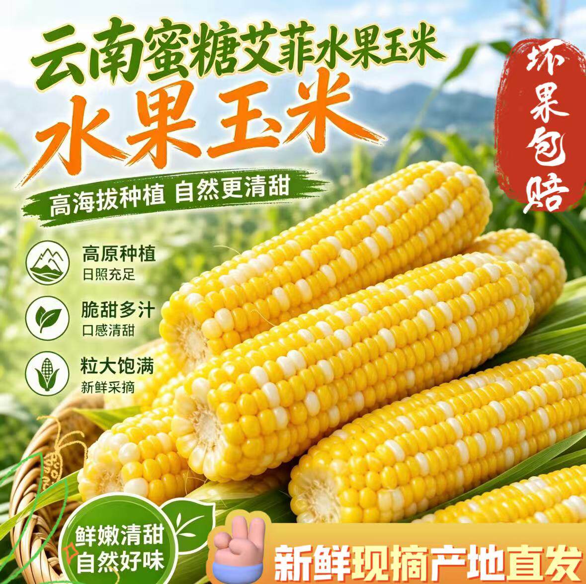 云南水果玉米金银双色脆甜爆汁