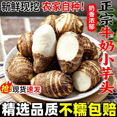 山东牛奶小芋头仔5斤新鲜毛芋头