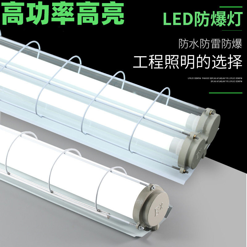 LED防爆灯荧光灯隔爆型单管双管车间厂房仓库灯罩灯管1x40w2x40w