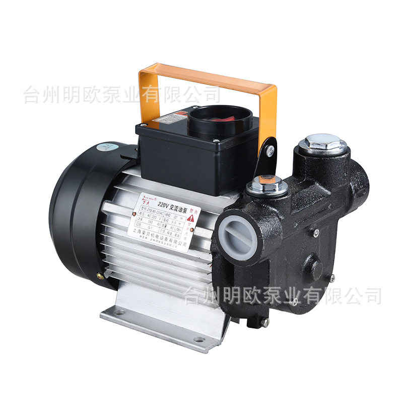 柴油抽油泵自吸抽油机电动抽油泵加油泵双出油口550w220v批发价