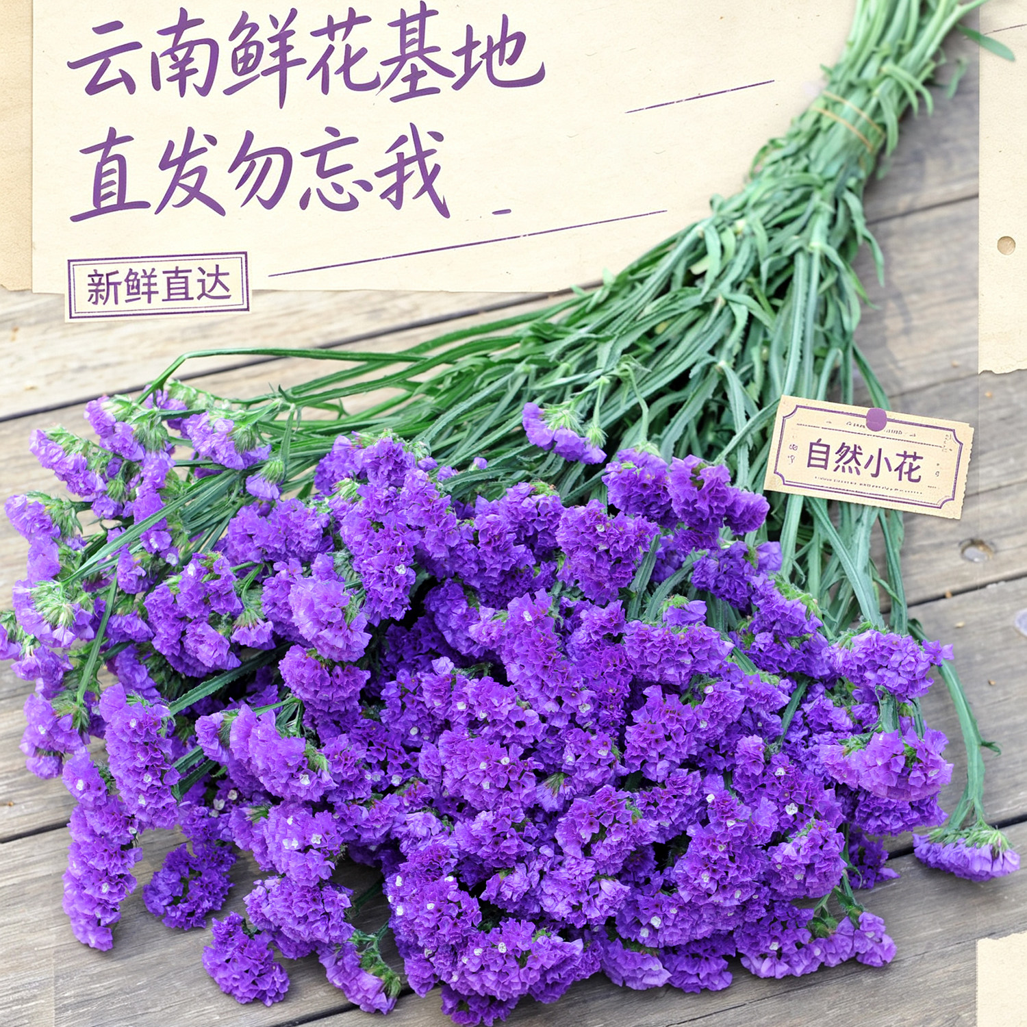 天然勿忘我鲜花干花花束礼物