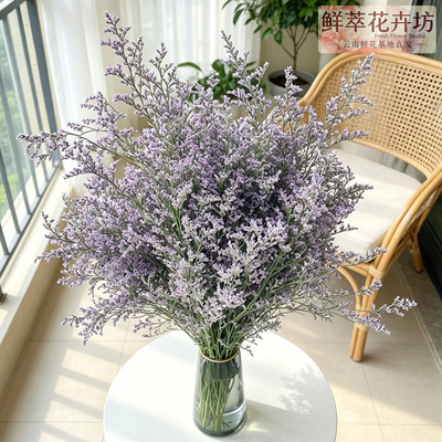 云南直发情人草花束鲜花真花
