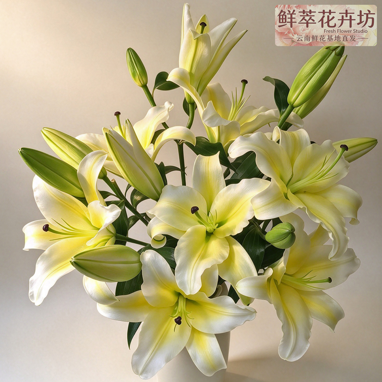 云南昆明黄天霸香水百合鲜切花