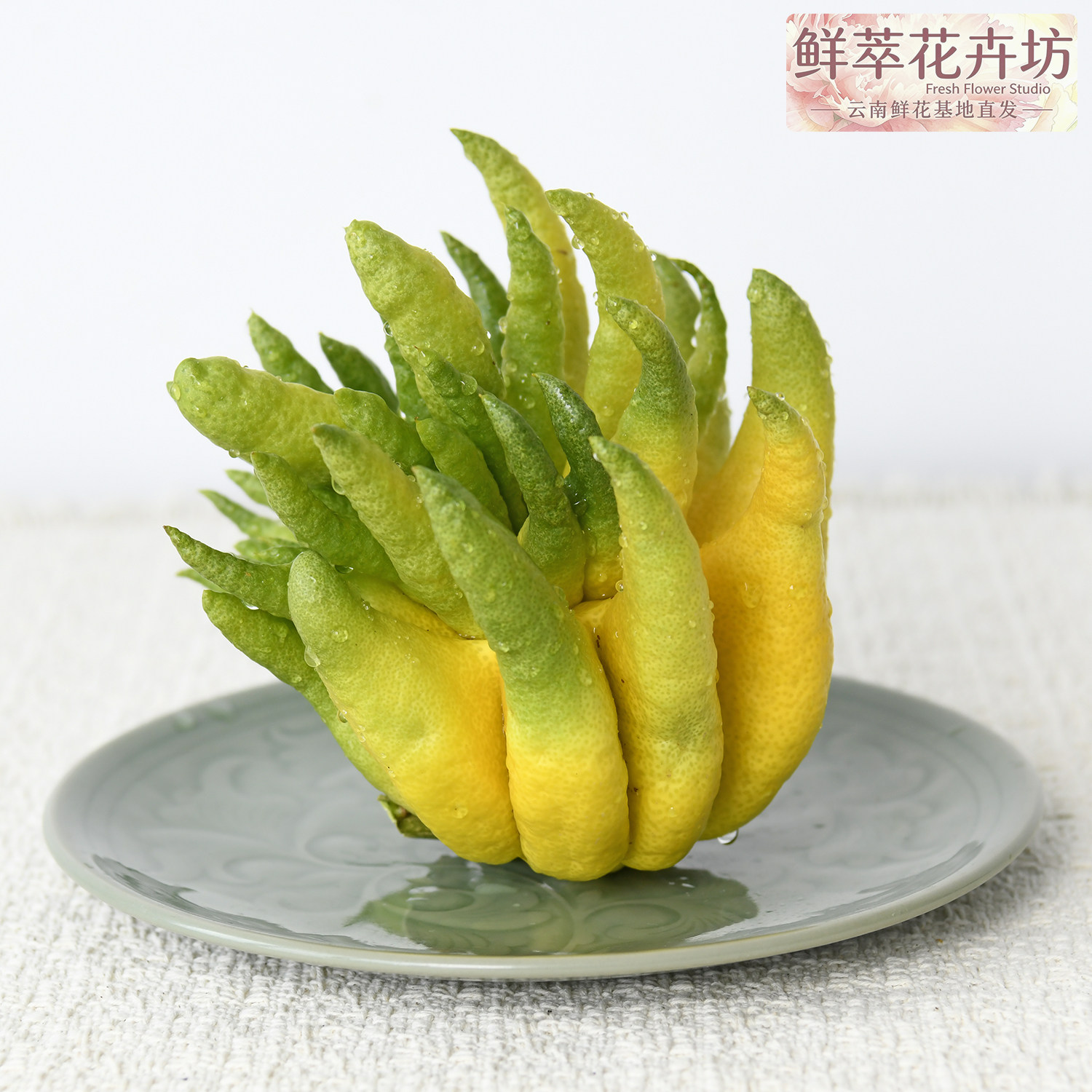 新鲜佛手柑带枝可食盆栽