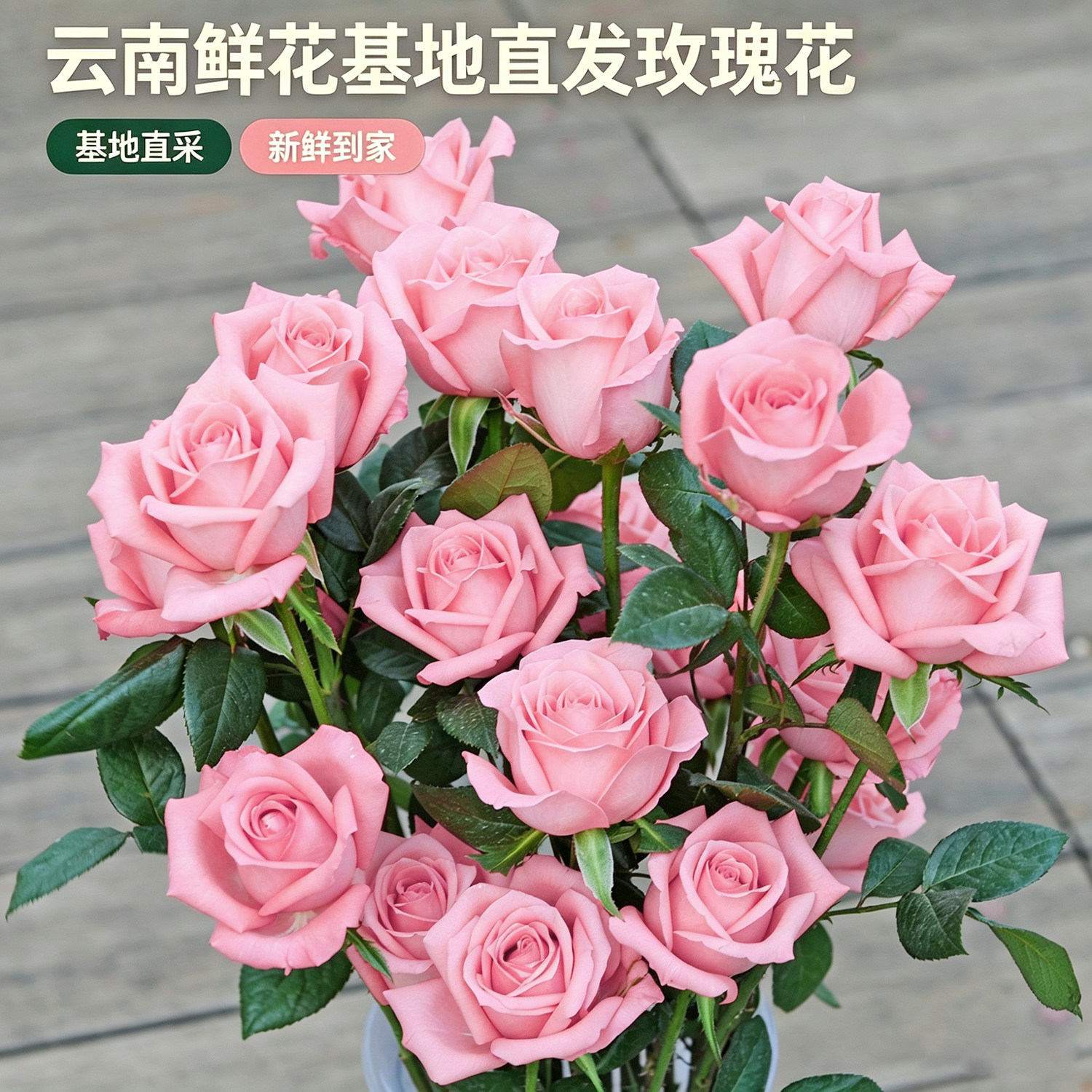 玫瑰鲜花云南昆明基地直发