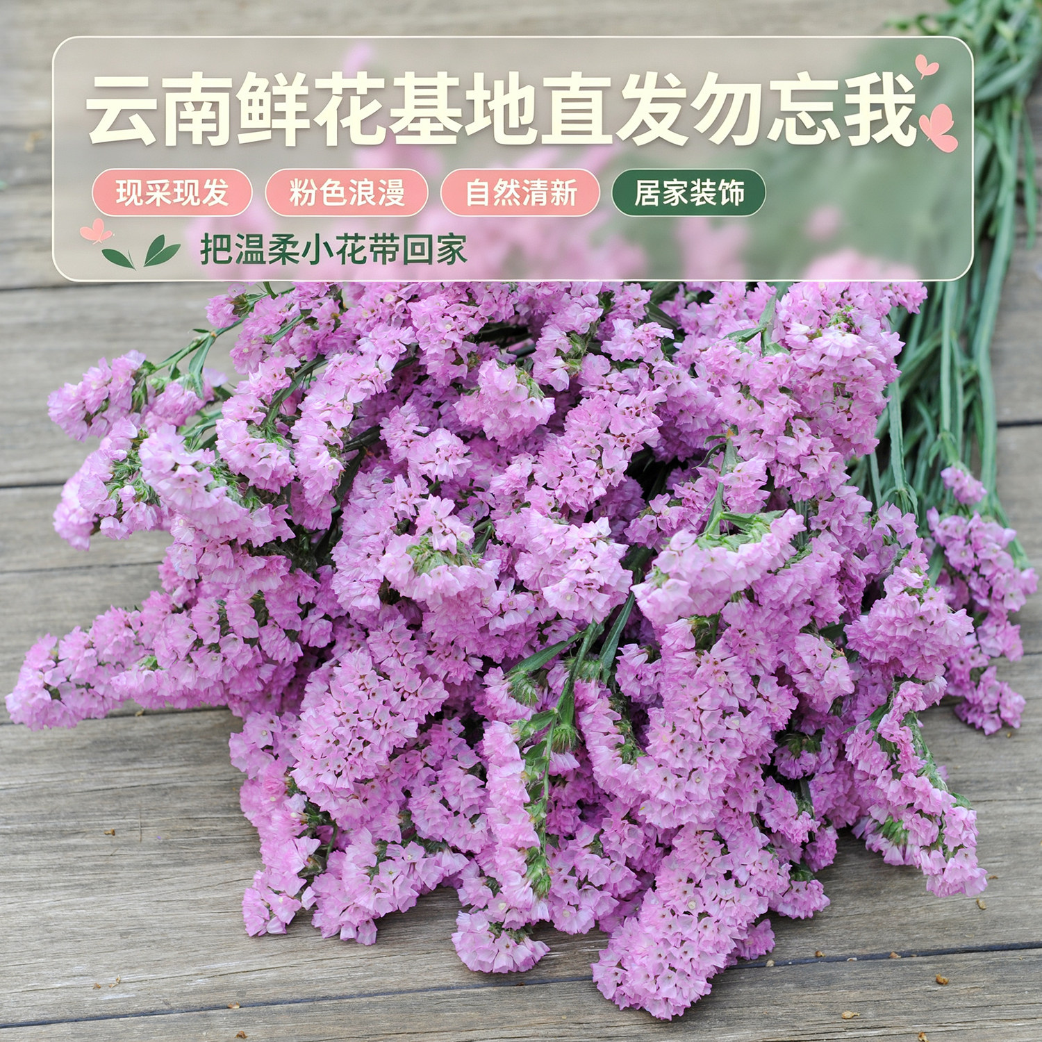 云南勿忘我真花斗南花束大束