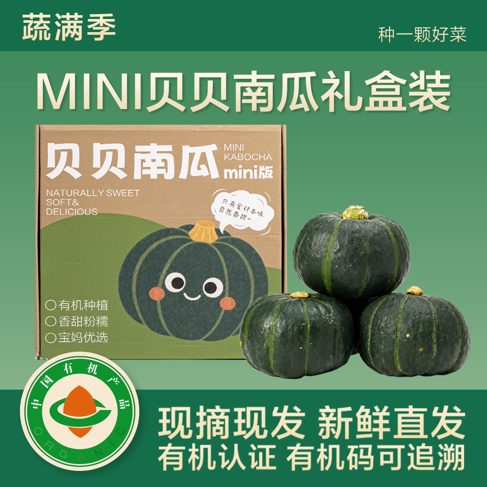 蔬满季有机贝贝南瓜mini果礼盒装