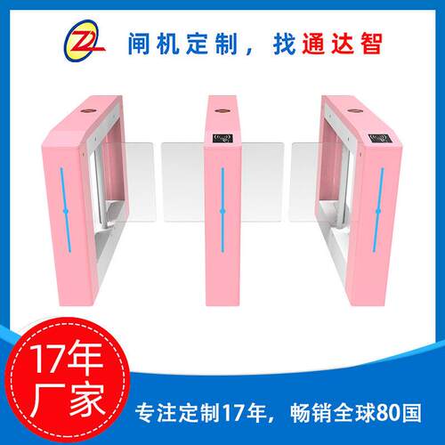 【闸机定制】通达智人脸识别闸机儿童游乐场景区摆闸人行通道闸机