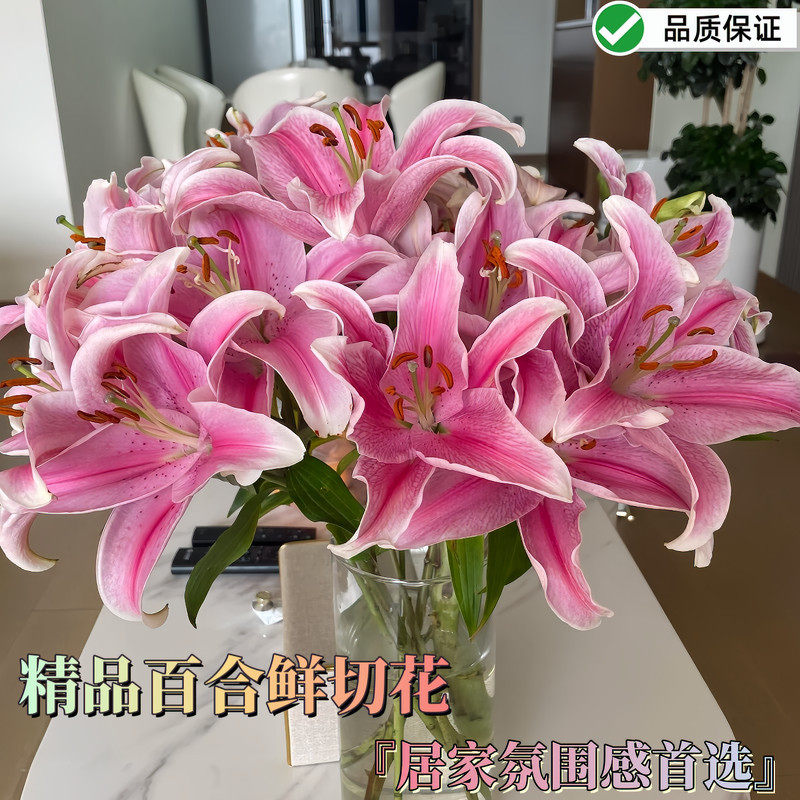 粉天霸百合花小雏菊鲜花黄色单