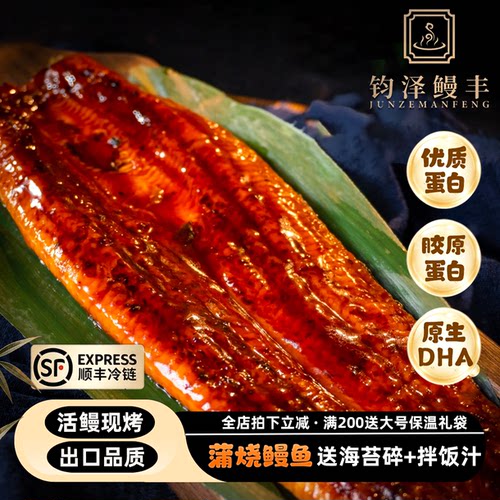 钧泽鳗丰蒲烧鳗鱼加热即食