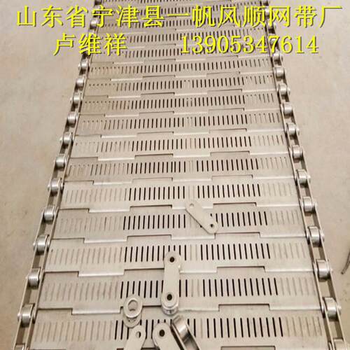 专业生产优质不锈钢链板输送带 清洗机链板 果蔬清洗链板  板式链