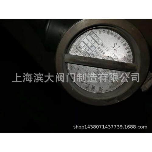 上海埃弗斯安全阀空压机安全阀AK22X-16P  DN50
