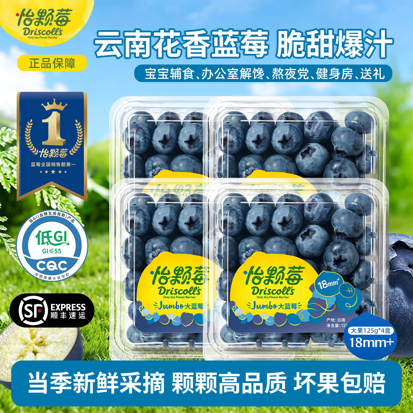 Driscoll's怡颗莓新鲜蓝莓水果