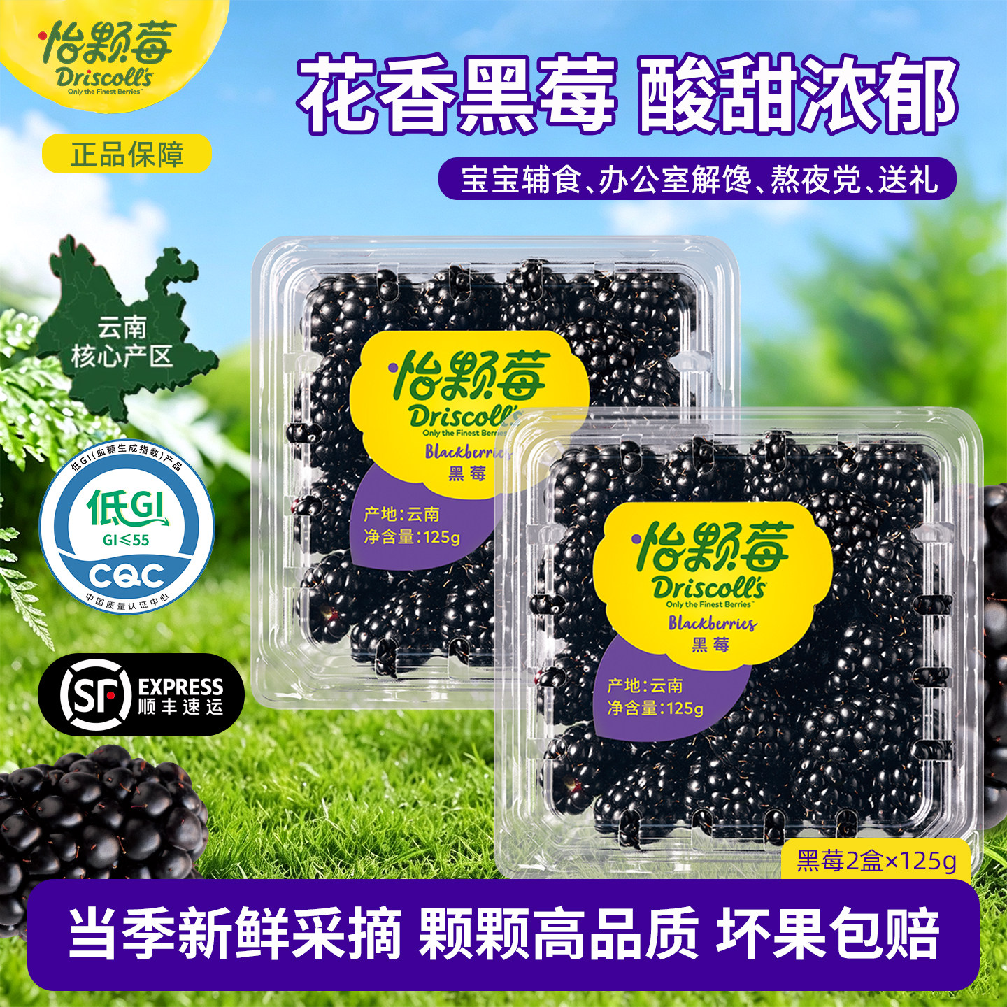 Driscoll's怡颗莓云南黑莓酸甜