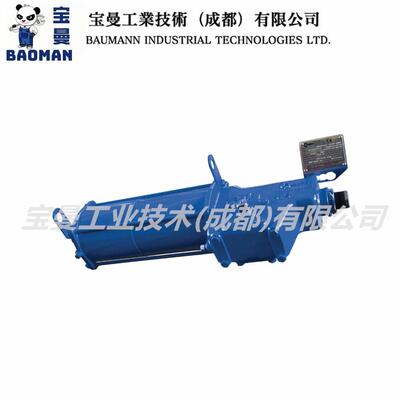正品BIFFI全新RPD-RPS 齿轮齿条式执行器 可选球墨铸铁或碳钢