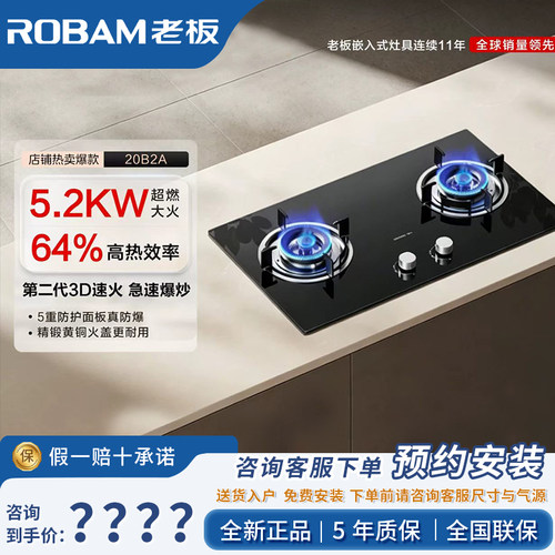 Robam/老板 20B2A