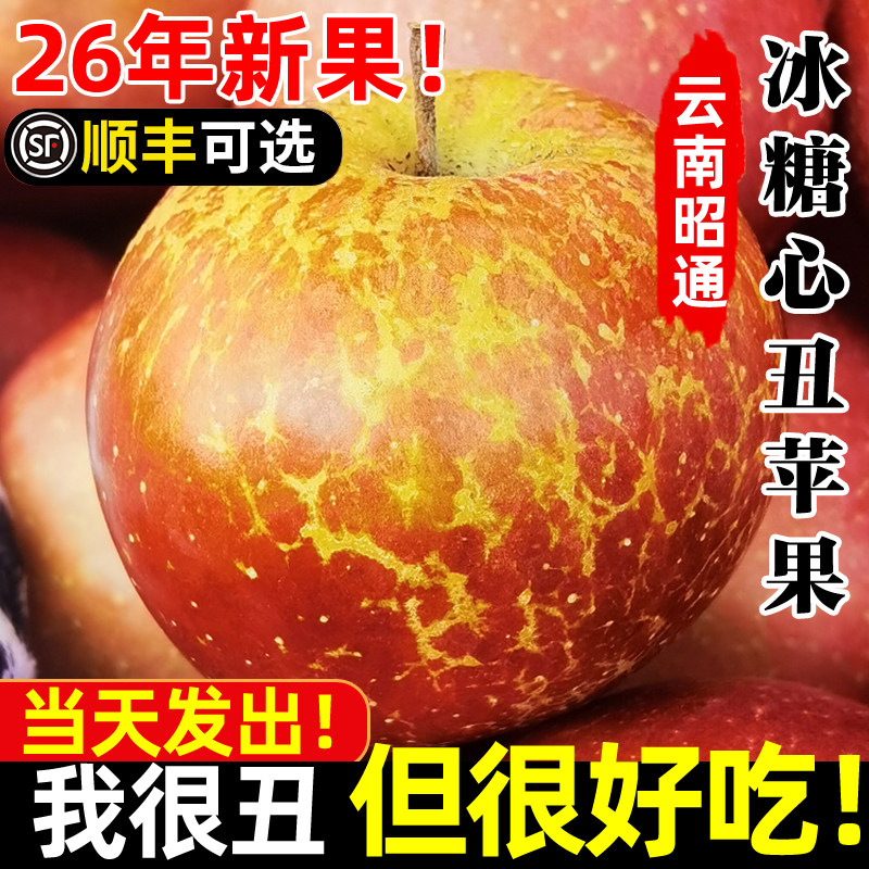 云南昭通冰糖心苹果26年新果