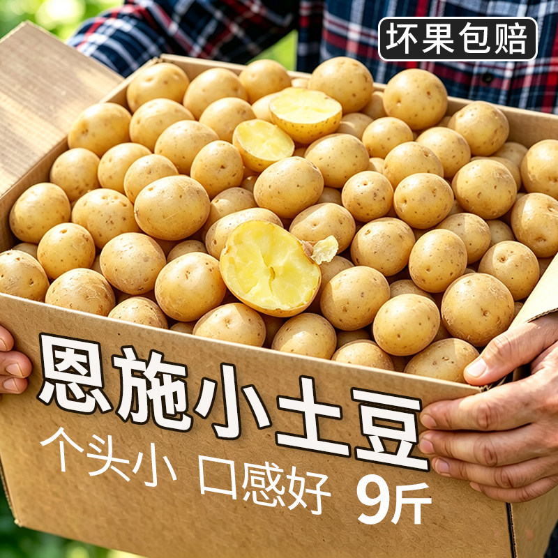 恩施小土豆农家新鲜洋芋