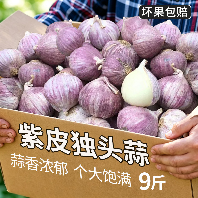2026新鲜干蒜独头蒜紫皮辣蒜