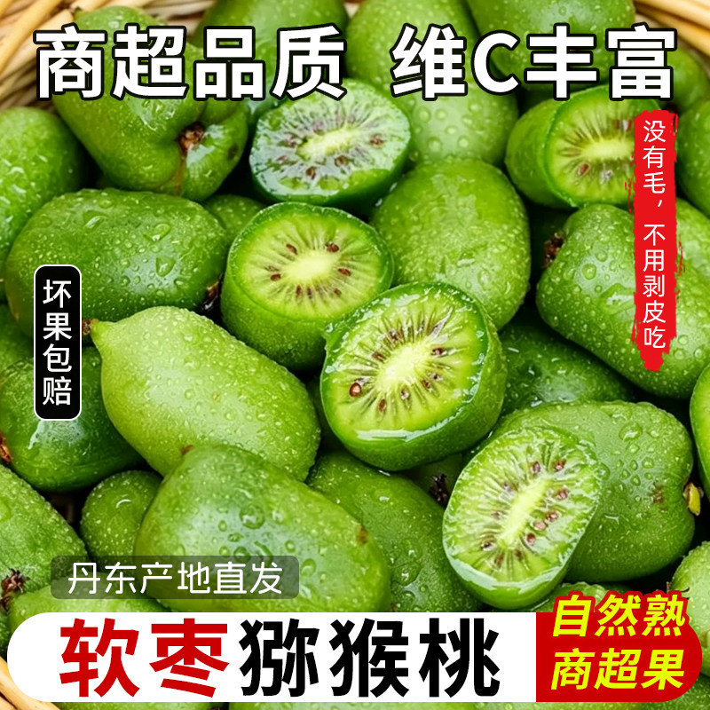 软枣子丹东软枣猕猴桃圆枣子