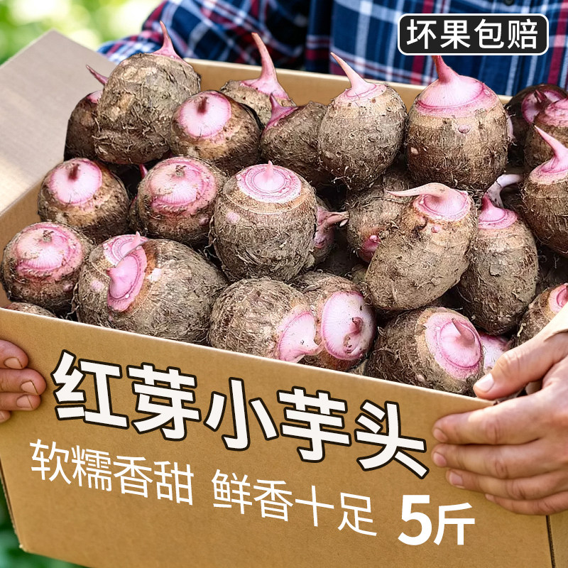 广西红芽芋头新鲜芋头小芋艿