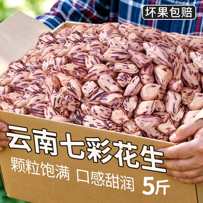 云南七彩花生新鲜现挖带壳农家