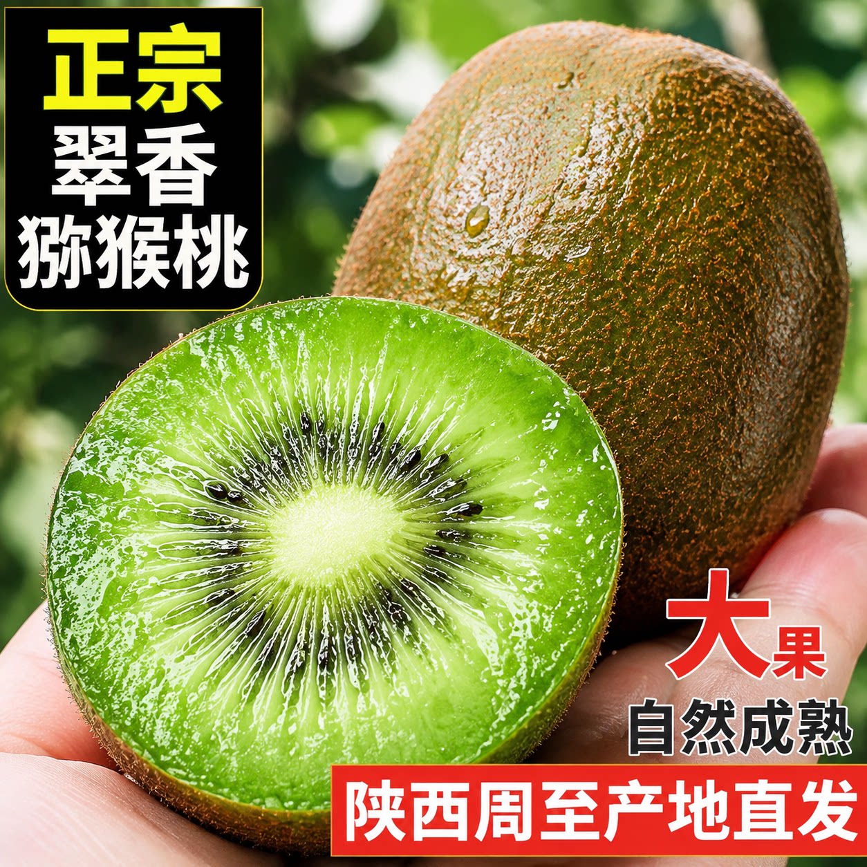 陕西周至新鲜翠香猕猴桃