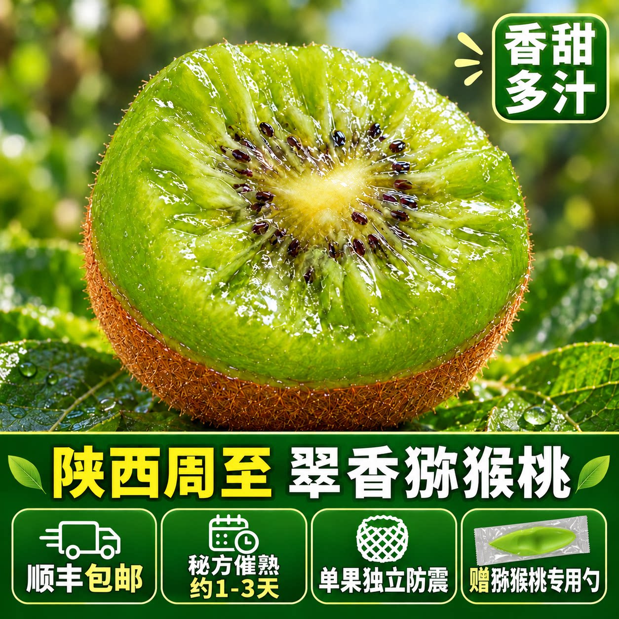 陕西周至新鲜翠香猕猴桃