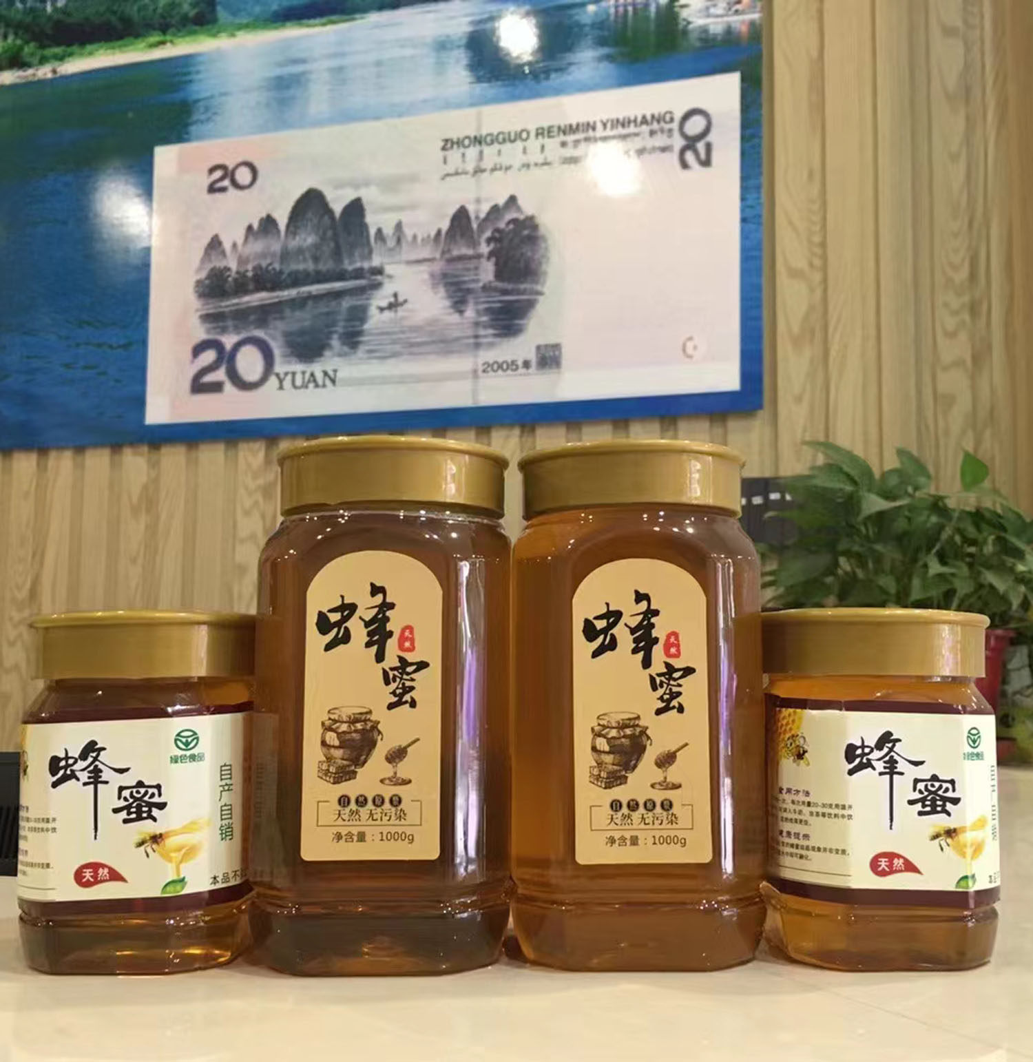 九龙藤蜜 百花蜜 纯天然无加工  自养纯蜂蜜 1斤/2斤/25ml试吃装