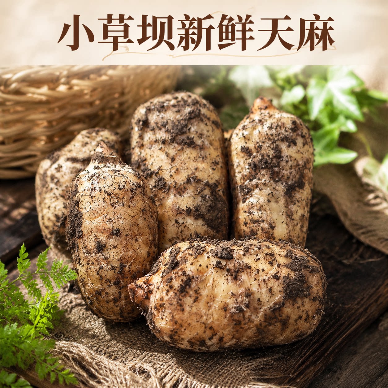 小果野生原生态天麻干货
