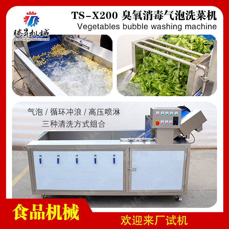 厂家供应粽叶清洗机果蔬气泡清洗机桔子橙子苹果洗果机