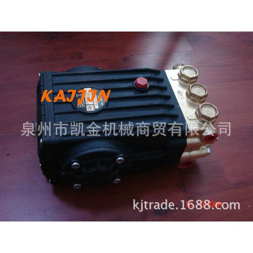 供应NTERPUMP GROUPWS82压陶瓷柱塞泵,WS82