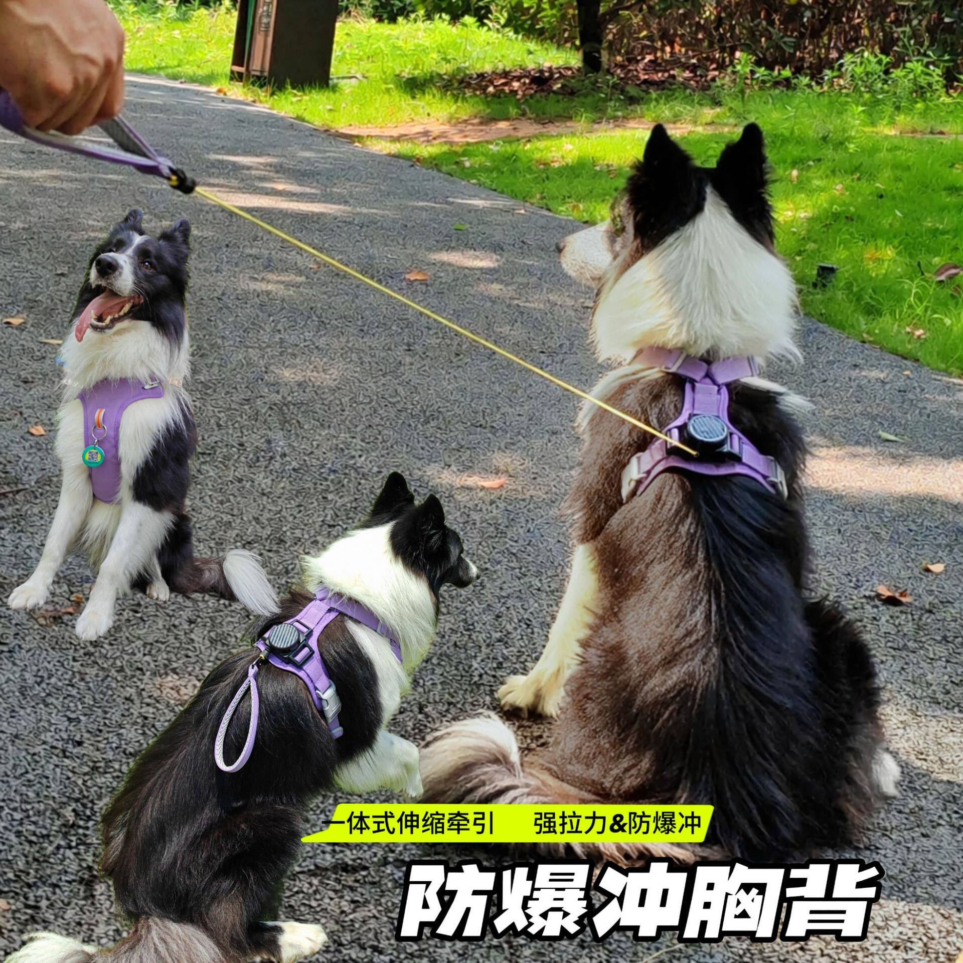 2026新款强拉力防爆冲一体穿戴牵引胸背带自动伸缩牵引绳宠物马甲