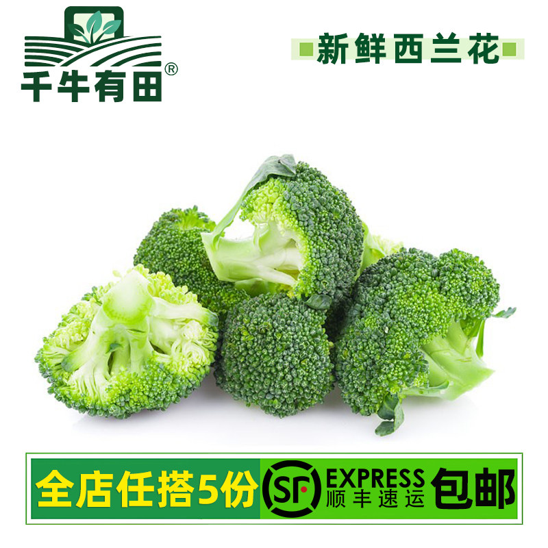 鲜嫩翠绿、清脆爽口、嫩绿清甜