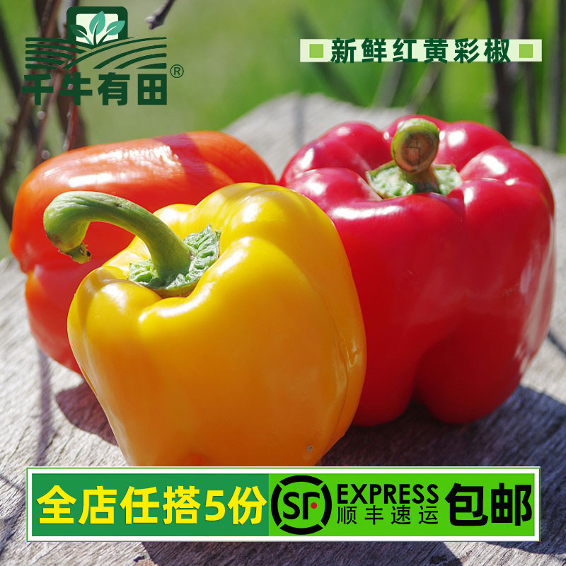 新鲜红黄彩椒生吃甜脆沙拉优选