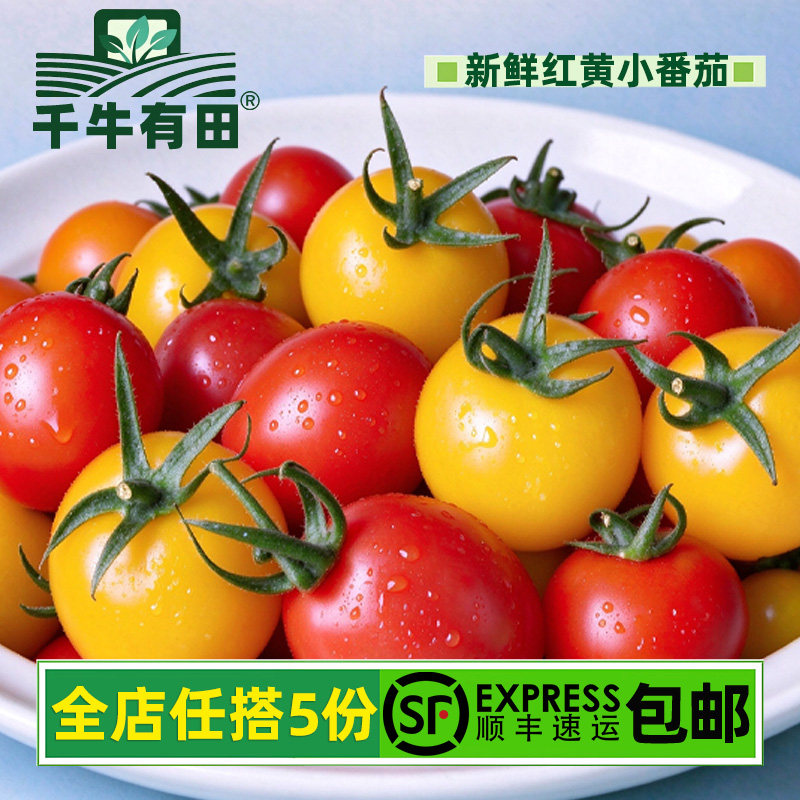 樱桃小番茄圣女果小西红柿沙拉